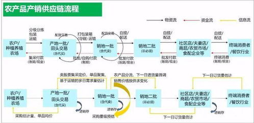 東方鑫達 全方位打造現(xiàn)代化農(nóng)產(chǎn)品供應鏈體系